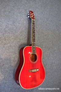 Guitar-acoustic-barclay-md-380-tr-1-200x300